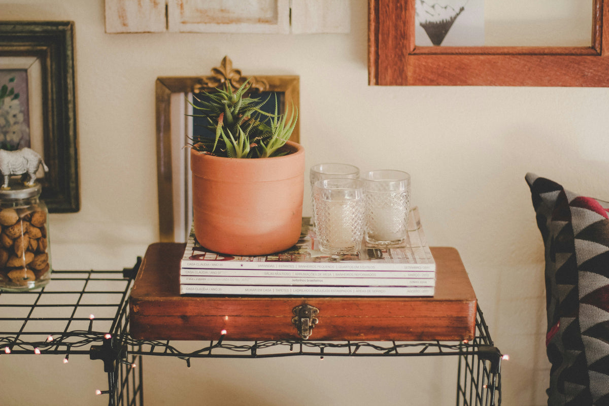 Decorative table with a potted plant, books, and glasses against a wall with framed pictures.